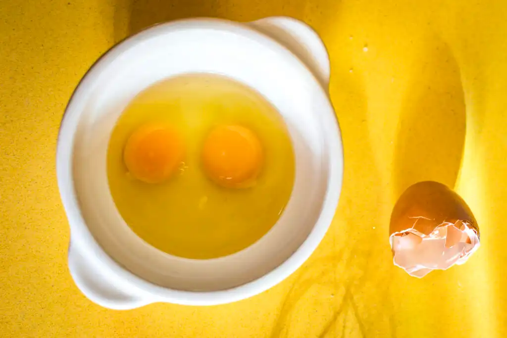 Kenapa Ayam Bisa Menghasilkan Telur dengan Dua Kuning? Ini Penjelasan Ilmiahnya