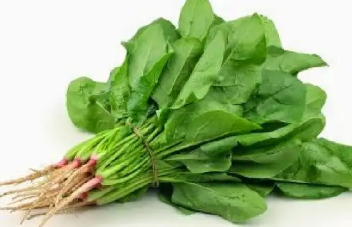 Bayam Dimasak Terlalu Lama, Apa yang Bisa Terjadi pada Nutrisinya?