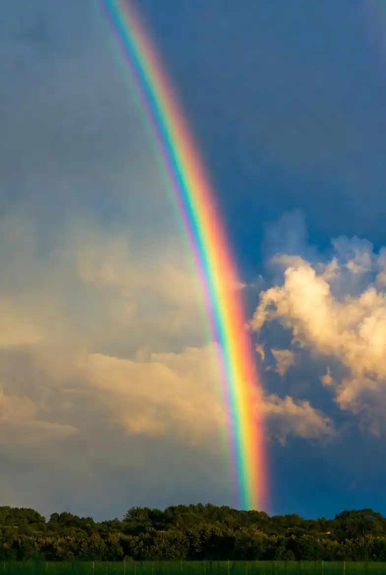 Mengapa Pelangi Memiliki Tujuh Warna? 