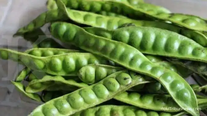 Rahasia di Balik Kenikmatan Pete