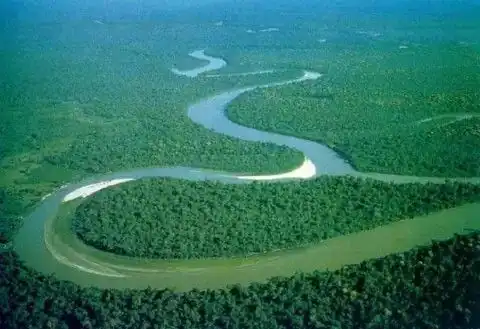 Misteri Hutan Amazon: Tempat Tinggal Makhluk Raksasa yang Tak Nalar