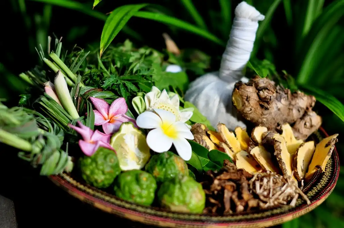 Mengapa Tanaman Herbal Banyak Digunakan dalam Tradisi?