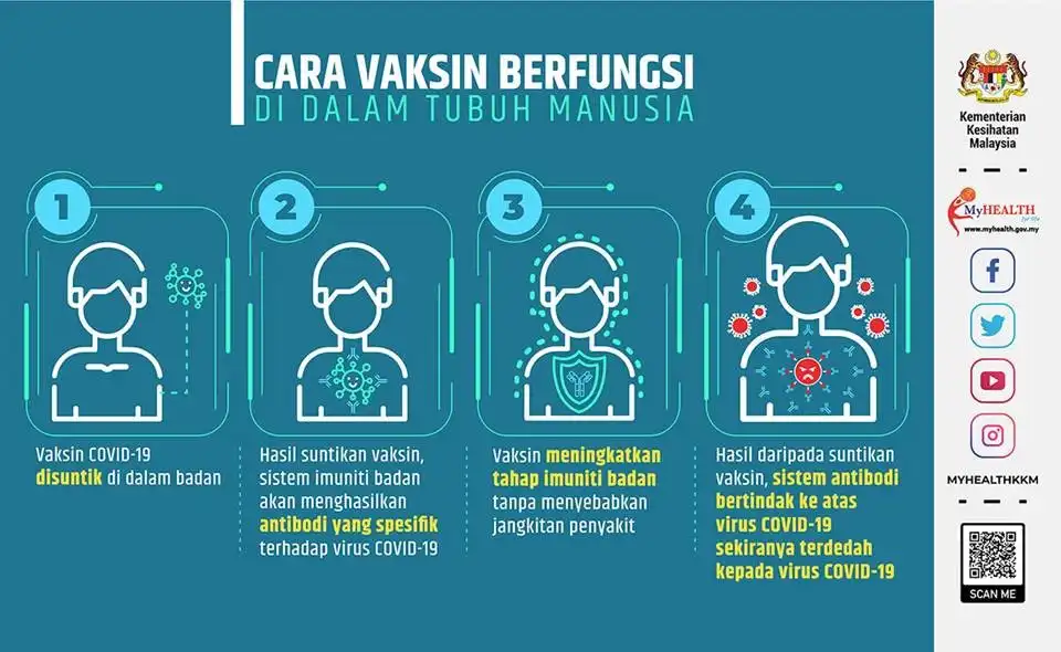 Cara Vaksin Membantu Sistem Kekebalan Tubuh