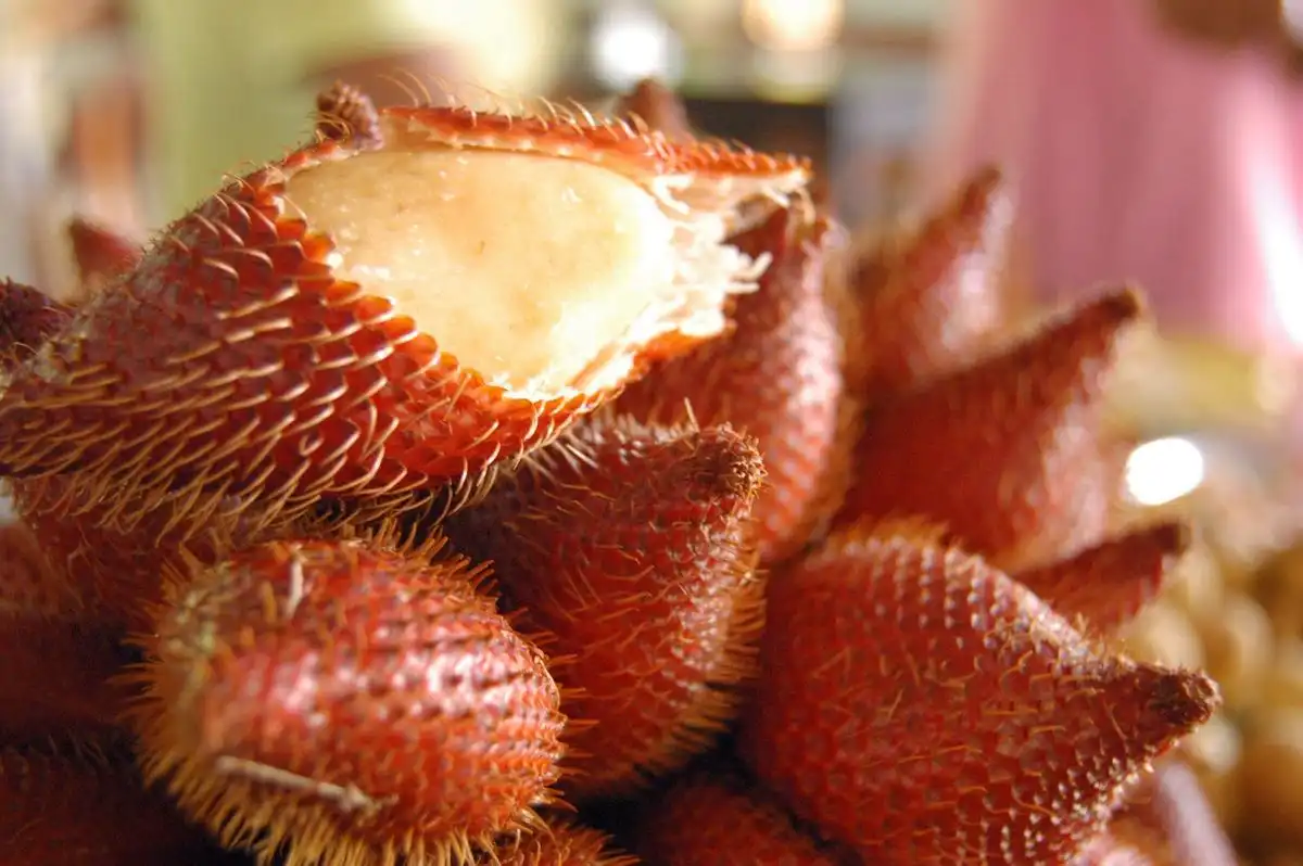 Mitos atau Fakta, Makan Salak Bisa Menyebabkan Sembelit?