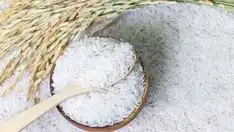 Beras yang Sama Bisa Menghasilkan Nasi dengan Rasa Berbeda, Ini Penyebabnya