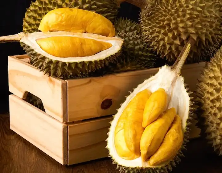 Makan Durian Terlalu Banyak, Ini Efek yang Bisa Muncul pada Perut