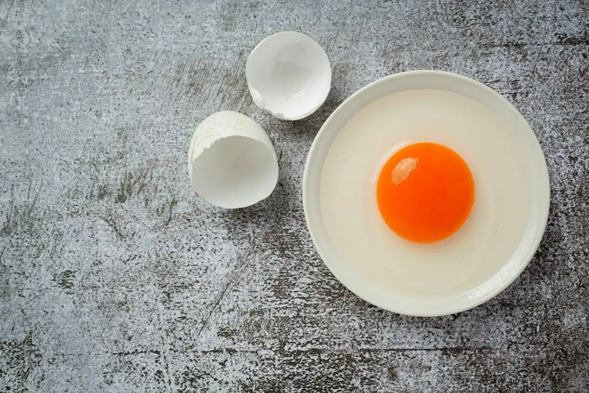 Mengenal Telur Omega-3: Nutrisi, Manfaat, dan Perbedaannya dengan Telur Biasa