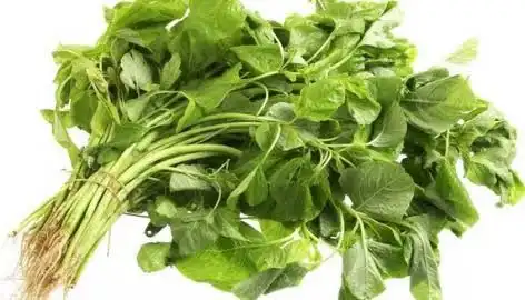 6 Sayuran yang Perlu Dibatasi Penderita Asam Urat: Waspadai Kandungan Purin Tersembunyi