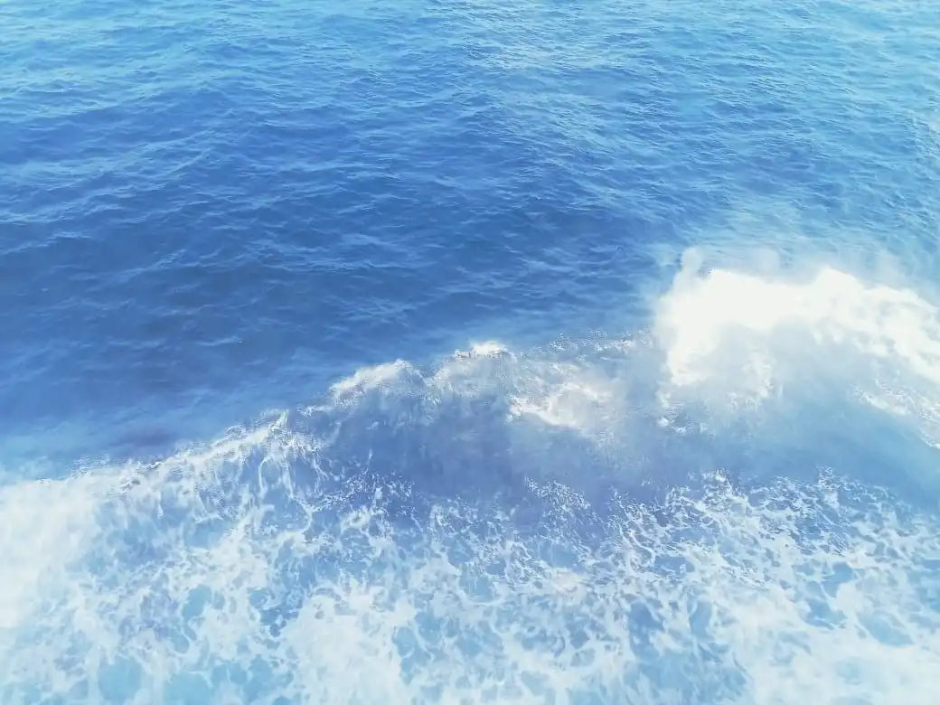 Kenapa Minum Air Garam atau Air Laut Justru Bikin Semakin Haus? Ini Penjelasan Ilmiahnya