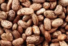 Manfaat Kesehatan Kacang Pinto