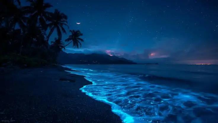 Keajaiban Bioluminesensi: Fenomena Laut Bercahaya yang Memukau di Tengah Malam