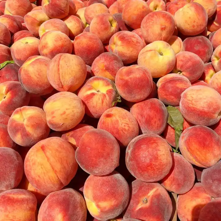Kulit Peach Terlihat Berbulu, Ada Keunikan di Balik Teksturnya