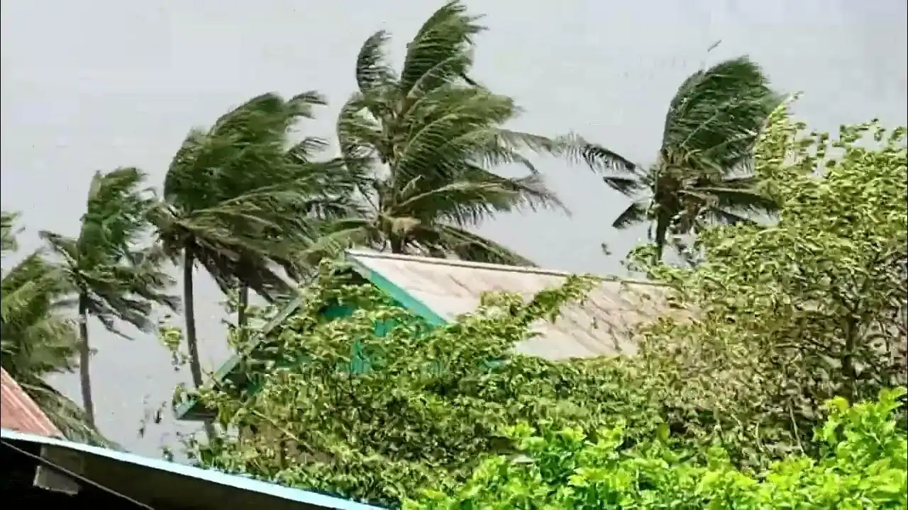 Kenapa Angin Bisa Tiba-Tiba Berembus Kencang? Ternyata Ini Penyebabnya