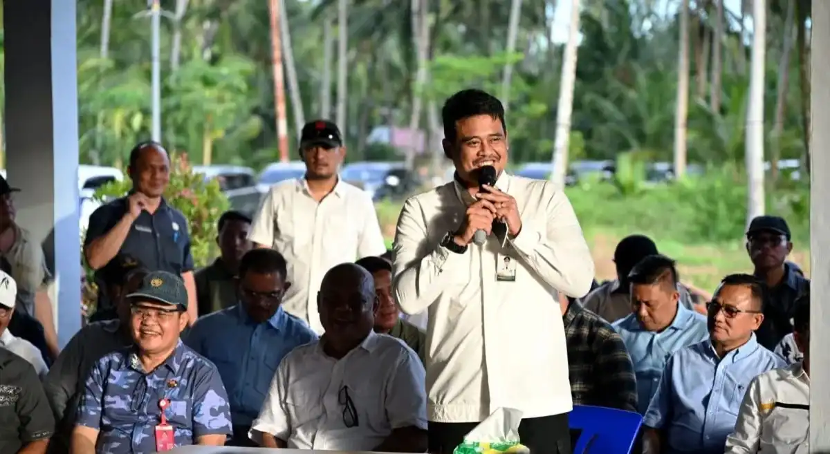 Gubernur siapkan Rp2 miliar bangun rumah produksi kelapa di Nias Utara