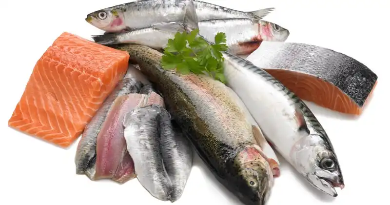 Suka Makan Ikan Mentah? Ini Hal yang Perlu Diperhatikan Sebelum Menyantapnya