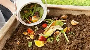 Menyulap Sampah Dapur Jadi Pupuk Alami Tanpa 