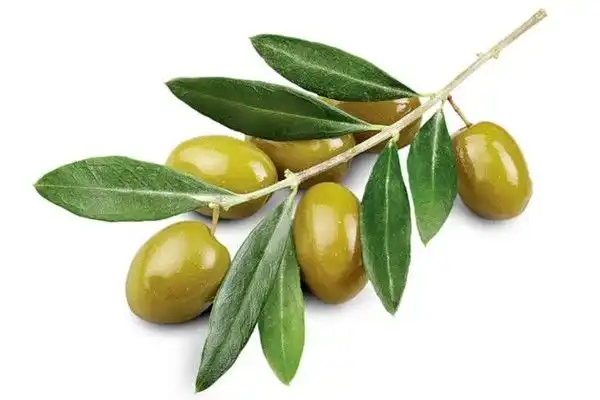 Rahasia Hidup Sehat dengan Rutin Konsumsi Buah-buahan Al-Qur'an