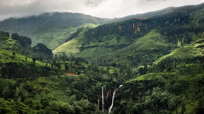 Hutan Bukan Sekadar Tempat Healing, Ini Peran Pentingnya dalam Mencegah Banjir dan Longsor