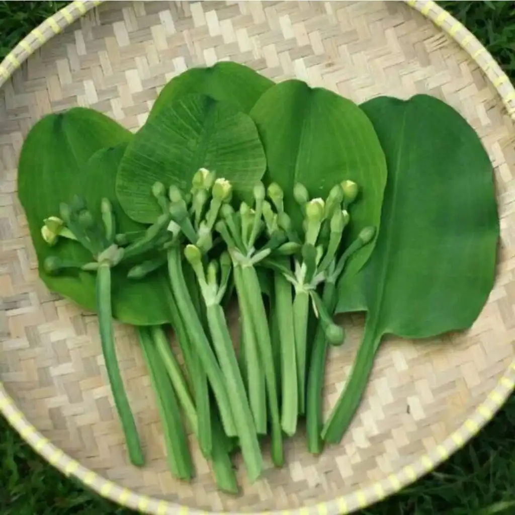 Genjer: Sayuran Sejarah yang Ternyata Punya Banyak Manfaat