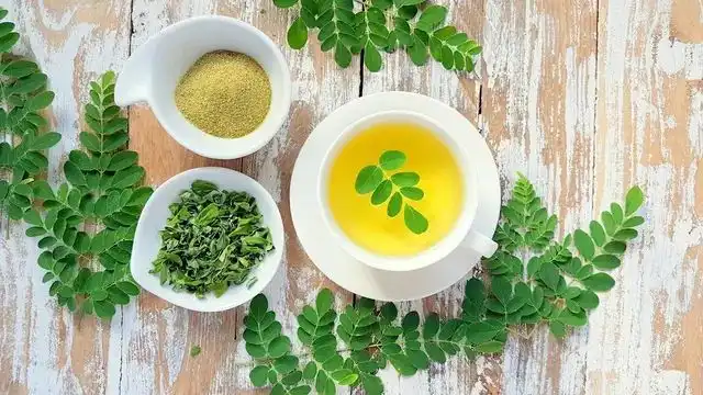 Manfaat Daun Kelor untuk Dijadikan Teh: Sehat Alami dan Kaya Nutrisi