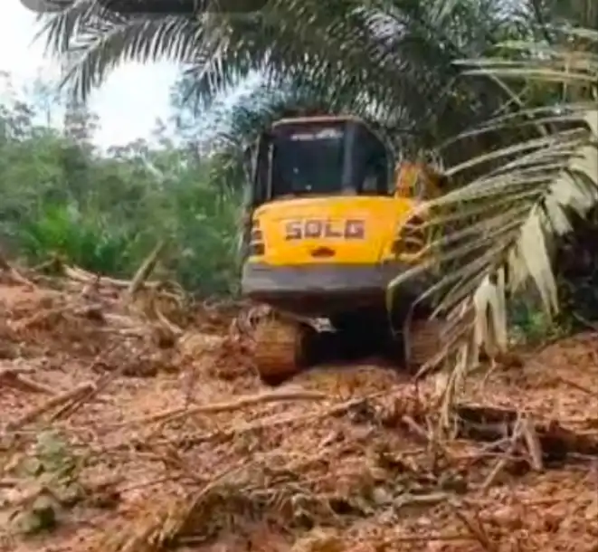 Alat Berat Dikerahkan Cari 2 Orang Korban Longsor
