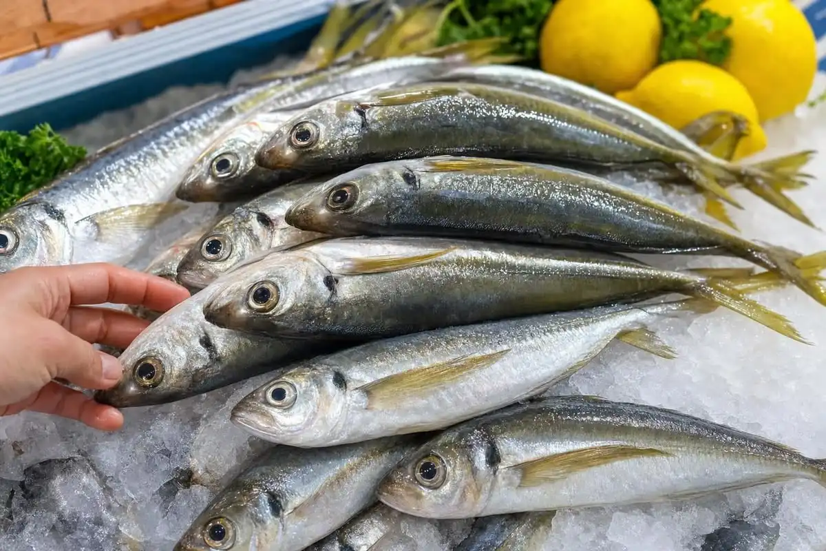 Hati-Hati Zonk! Begini Cara Membedakan Ikan Segar dan Ikan yang Sudah Tidak Layak Konsumsi