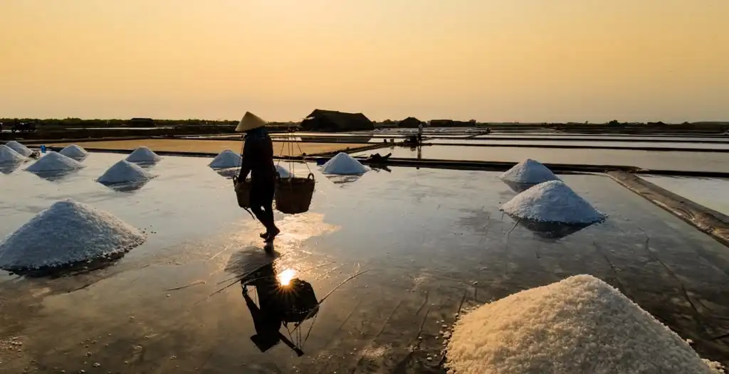 Dari Air Laut hingga Meja Makan: Begini Proses Pembuatan Garam