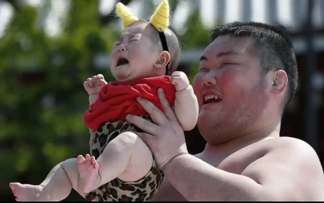 Nakizumo: Festival Bayi Menangis di Jepang 