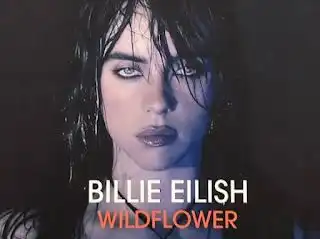 Pacari Mantan Sahabat? Simak Makna Lagu Wildflower Billie Eilish