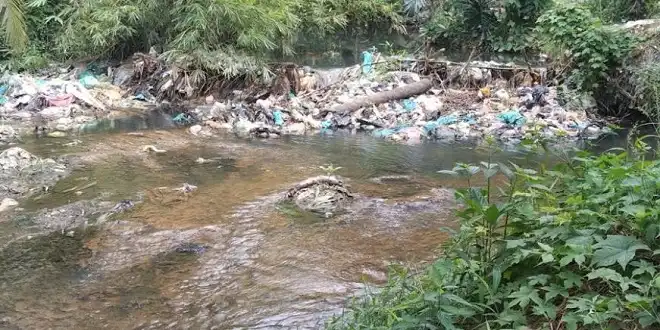 MUI Tegaskan Hukum Haram Buang Sampah ke Sungai, Serukan Aturan Tegas Lindungi Lingkungan
