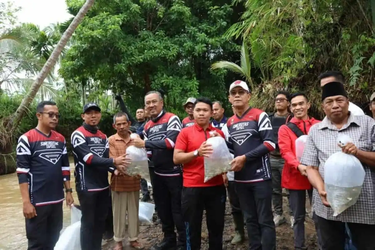 Tapsel Tebar 15.500 Benih Ikan di Lubuk Larangan Sibongbong