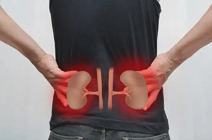 Hindari 6 Gaya Hidup Ini Jika Tidakk Mau Terserang Penyakit Ginjal 