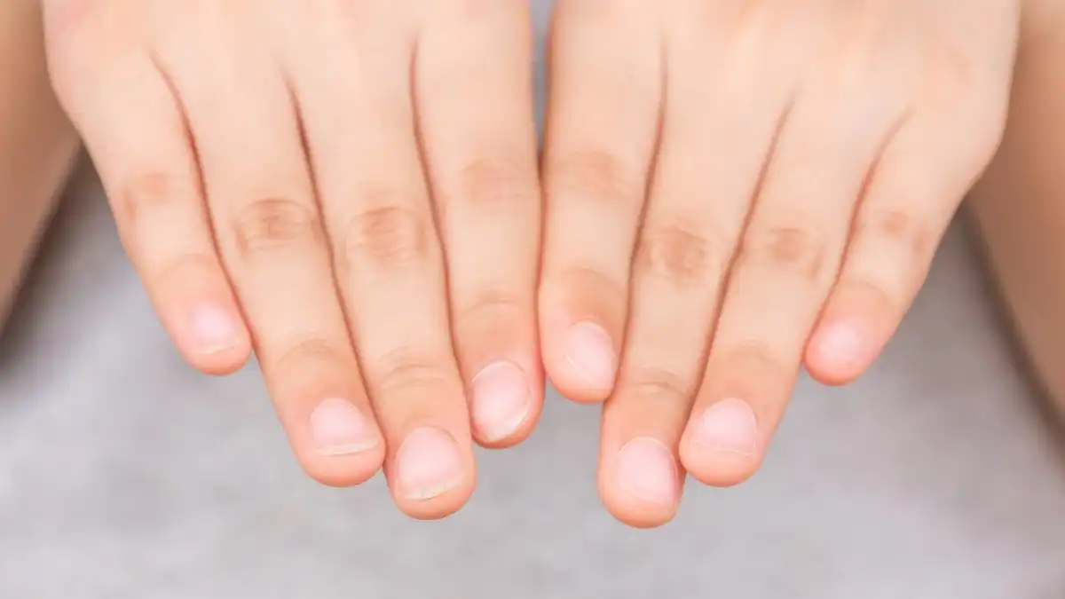 Bukan Sekadar Pelengkap Jari: Mengupas Sisi Lain Kuku yang Ternyata Punya Banyak Cerita