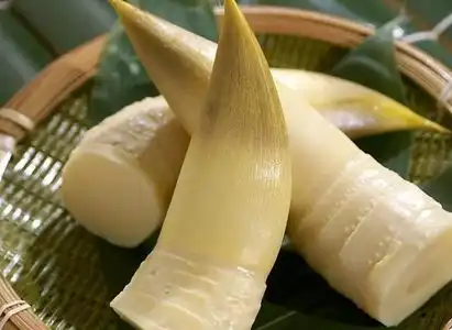 Rebung: Si "Bau Pesing" yang Ternyata Kaya Nutrisi dan Punya Banyak Manfaat