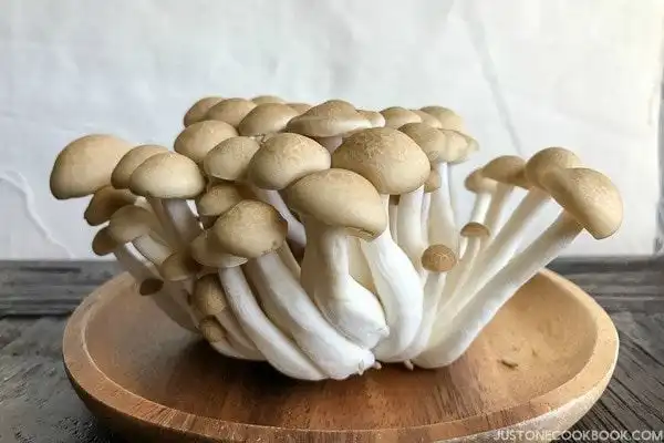 Jamur Shimeji Mentah Terasa Pahit, tetapi Rasanya Berubah Setelah Dimasak