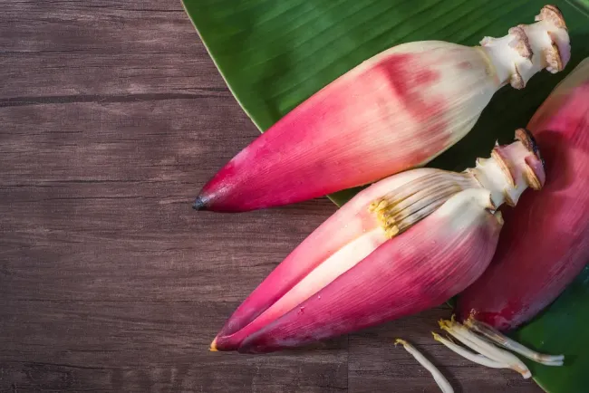 12 Manfaat Jantung Pisang untuk Kesehatan, Bisa Tingkatkan Produksi ASI hingga Cegah Penuaan