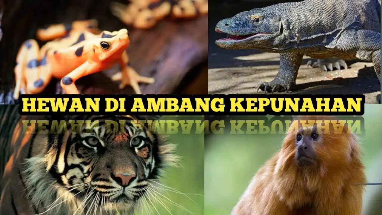 Mengapa Beberapa Hewan Berada di Ambang Kepunahan?