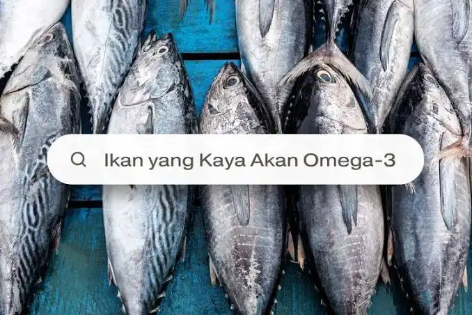 Ikan dengan Kandungan Omega-3 Tertinggi