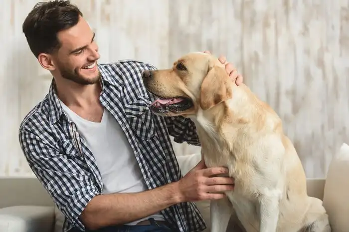 Mengapa Anjing Disebut Sahabat Terbaik Manusia?