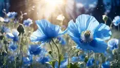 Alam punya palet warna yang luar biasa. Dari Himalayan Blue Poppy yang biru mencolok hingga Black Bat Flower yang tampak hitam misterius, inilah 7 bunga dengan warna alami paling unik di dunia.
