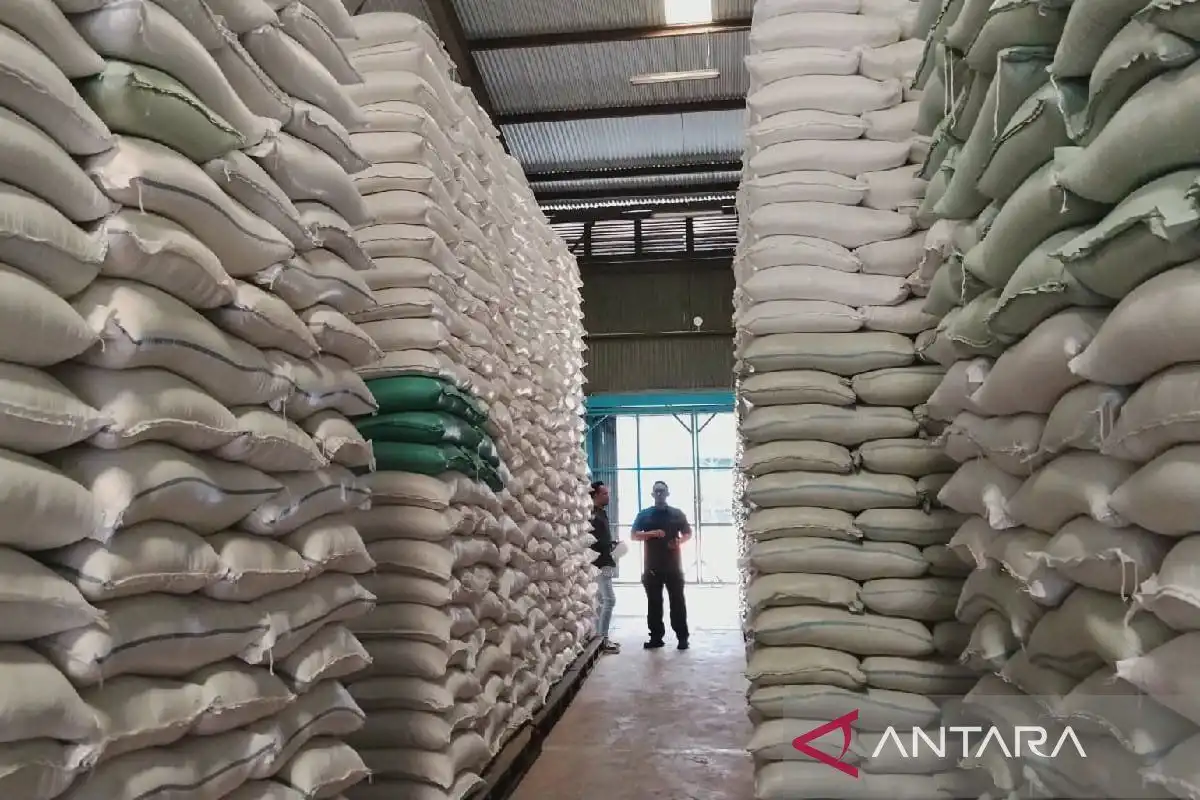 Bulog Sumut Dapat Tambahan 46.000 Ton Beras hingga September 2026, Stok SPHP Dipastikan Aman