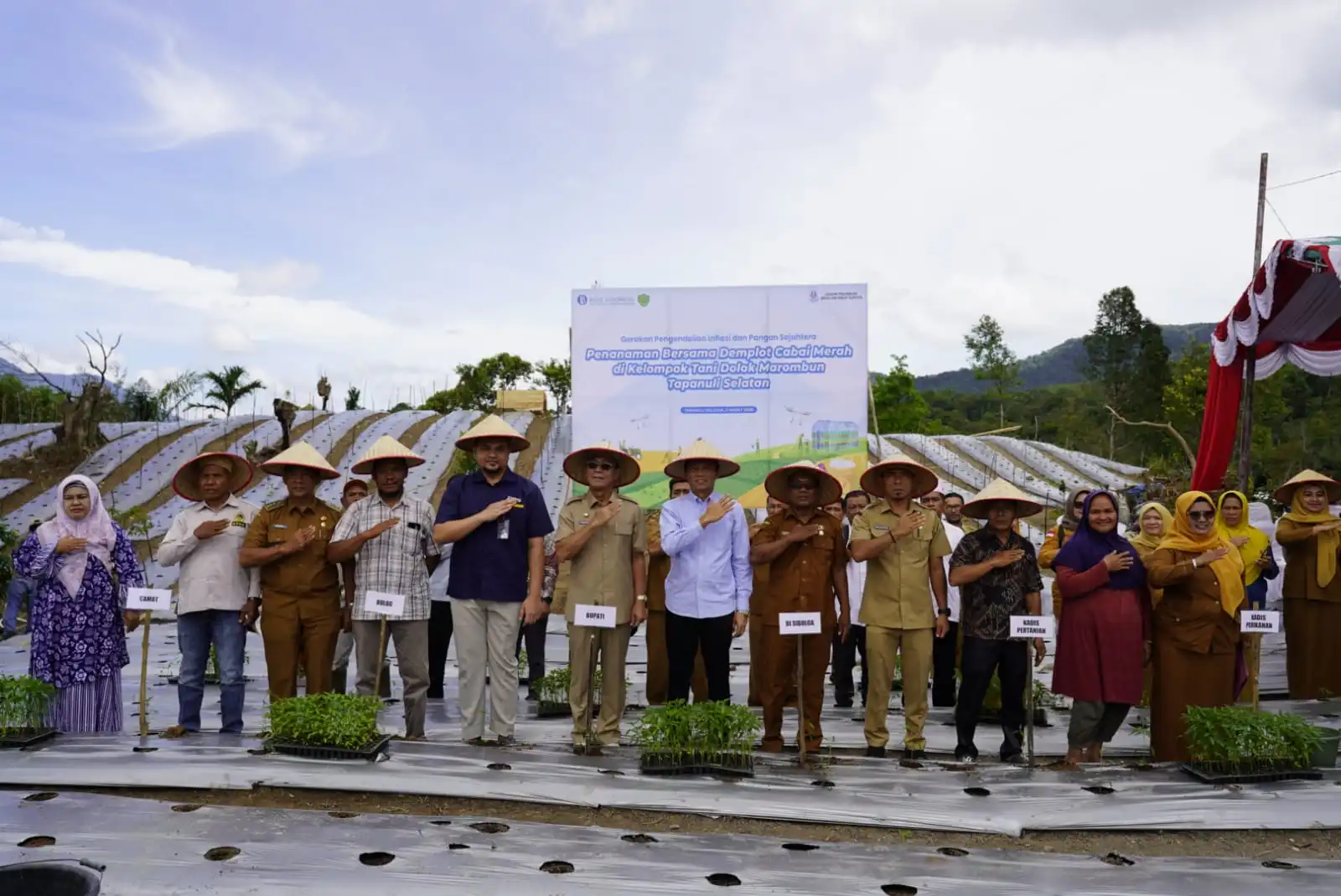 Bupati Tapanuli Selatan Optimis dalam Memulihkan Perekonomian Daerah Pascabencana, Genjot Produktivitas Lewat Varietas Padi Gamagora dan Demplot Cabai Merah bersama Bank Indonesia