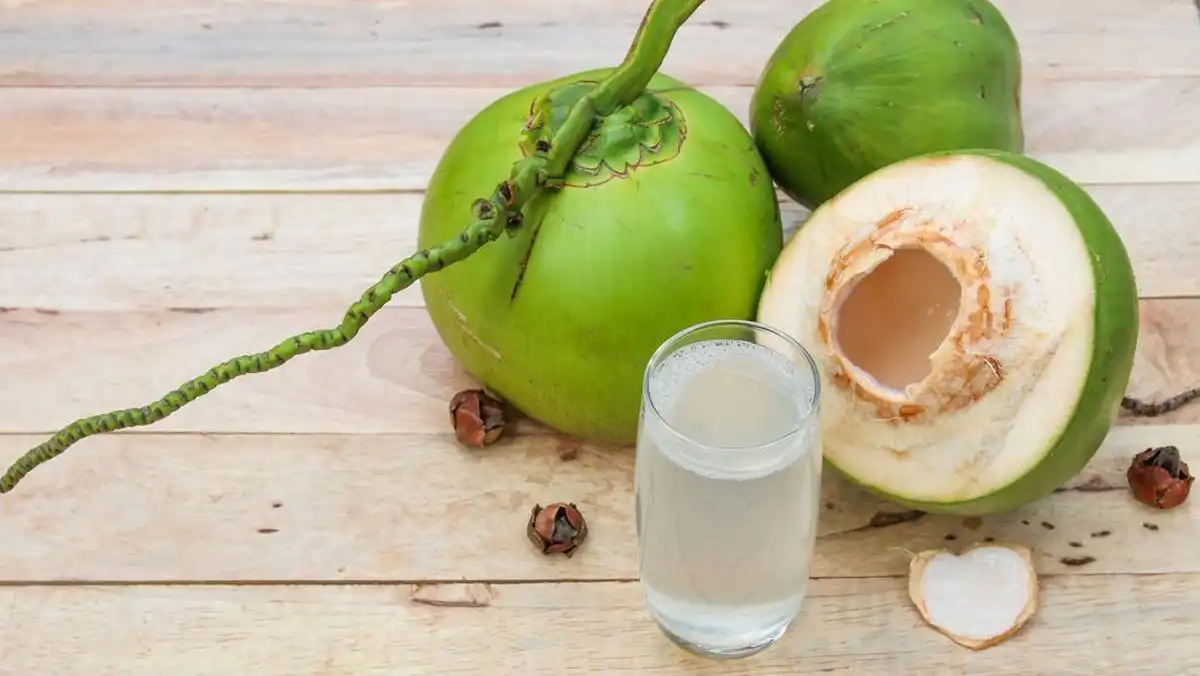 Rutin Minum Air Kelapa Muda Bikin Kulit Bayi Putih? Mitos atau Fakta?