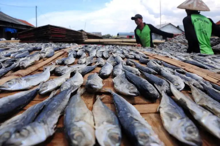 Rahasia Kenikmatan Ikan Asin dan Cara Hindari Zat Formalin
