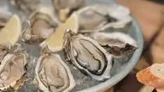 Oyster Hidup di Mana? Mengenal Habitat dan Kehidupan Tiram di Alam