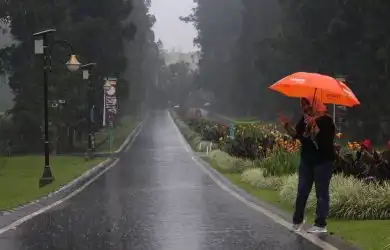 Mengapa Bogor Dijuluki Kota Hujan? Ini Sejarah dan Fakta Menarik di Baliknya