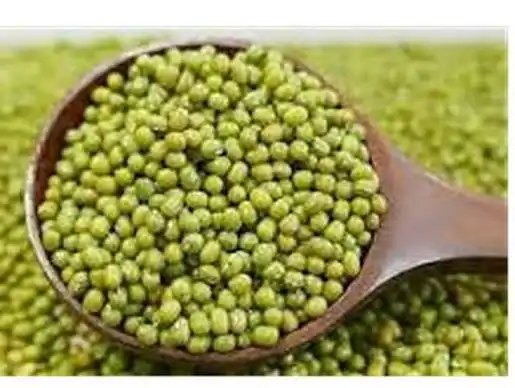 Kandungan Protein Kacang Hijau dan Perannya bagi Tubuh