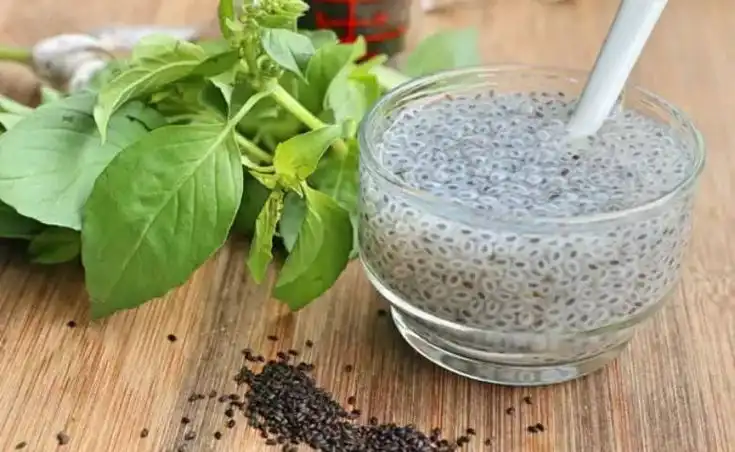 Menguak Rahasia "Sakti" di Balik Butiran Biji Selasih