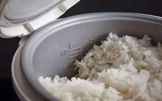 Penyebab Nasi Cepat Basi dan Cara Mencegahnya