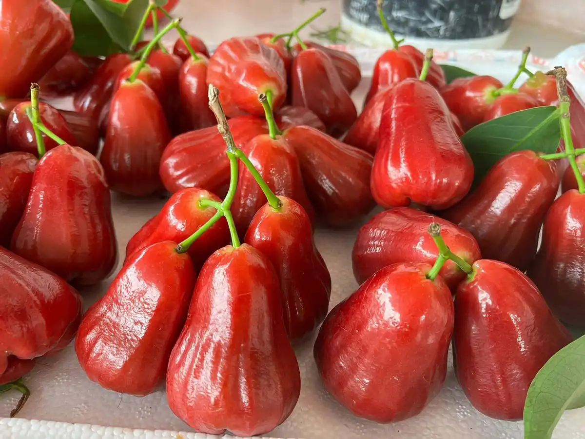 Mengapa Buah Bisa Berubah Warna Saat Matang?